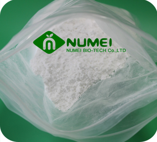 Testosterone Isocaproate (TI) Powder