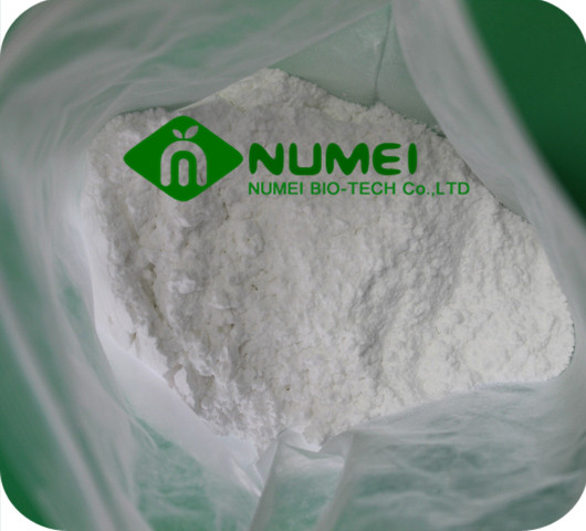 Testosterone Propionate (TP) Powder