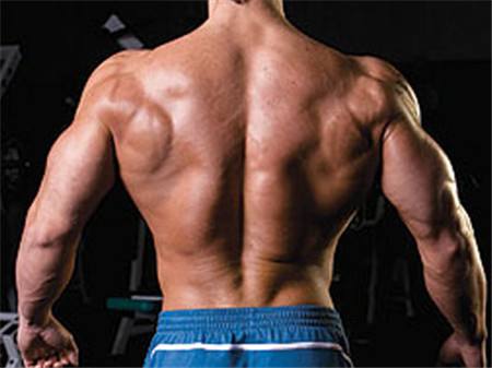 Steroids Make Muscle More Bodybuilding